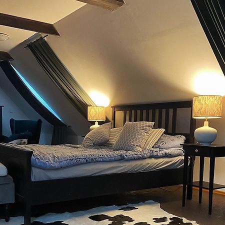 Lilly Apartments 카를로비바리 외부 사진